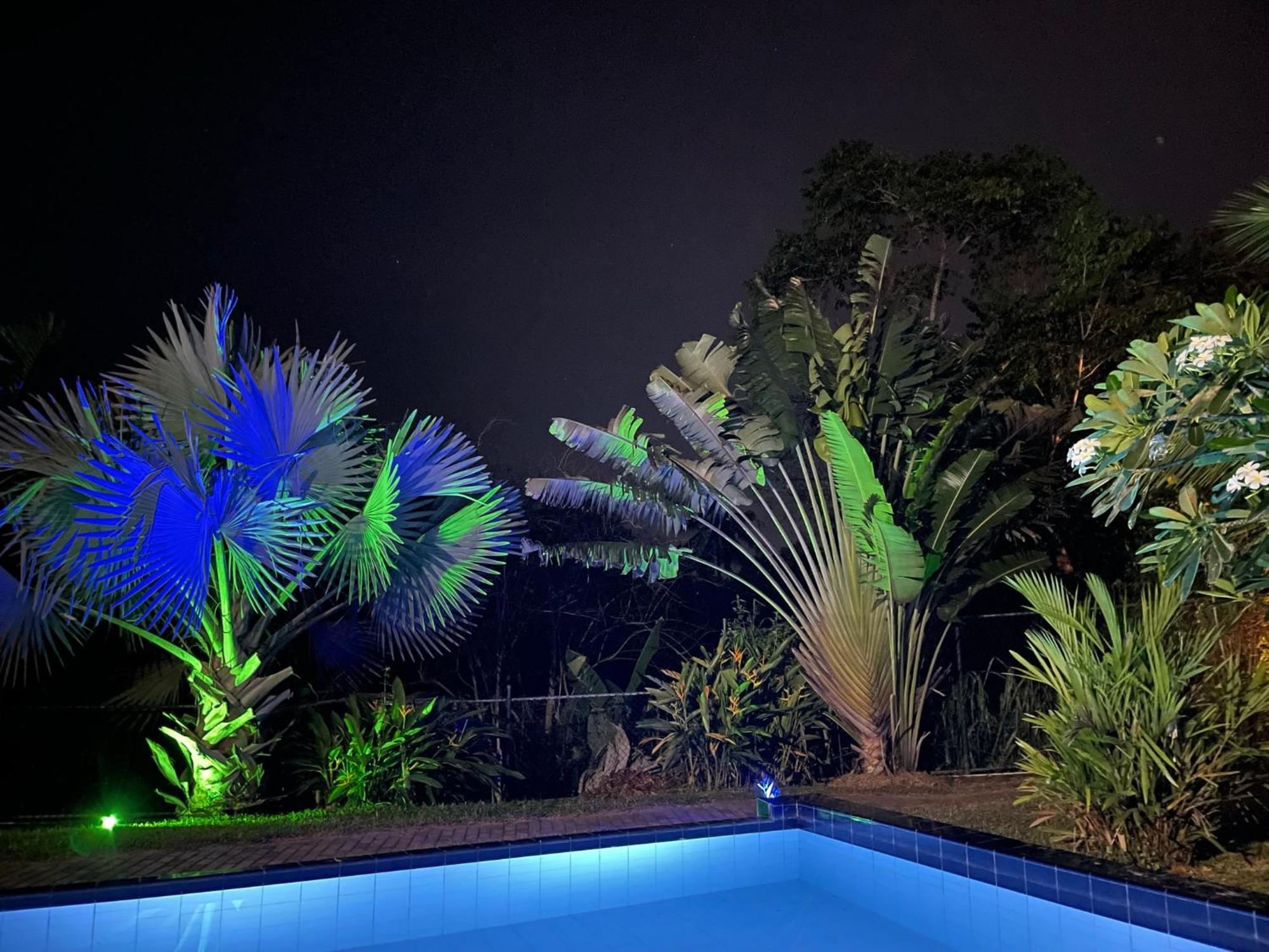 טנגלה Machan Villa מראה חיצוני תמונה